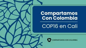 Portada de noticia sobre la COP16 en Cali, resaltando su relevancia en la lucha contra el cambio climático.