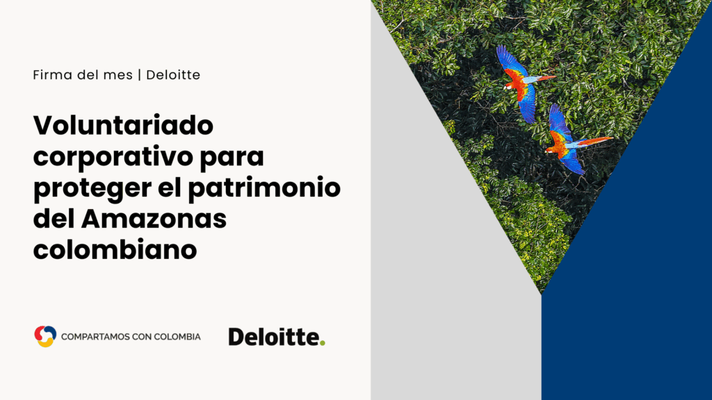 Firma del mes: Deloitte